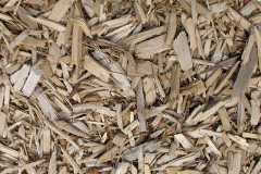 biomass boilers Etchingwood